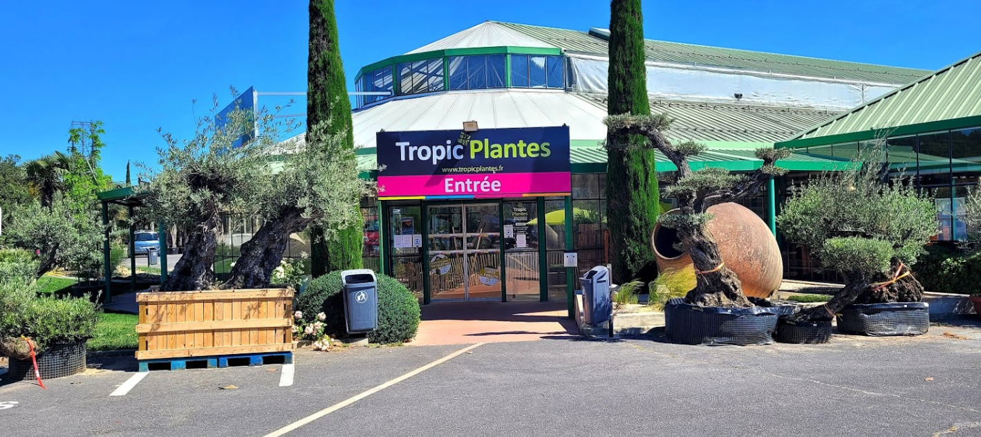 Tropical Plant Services