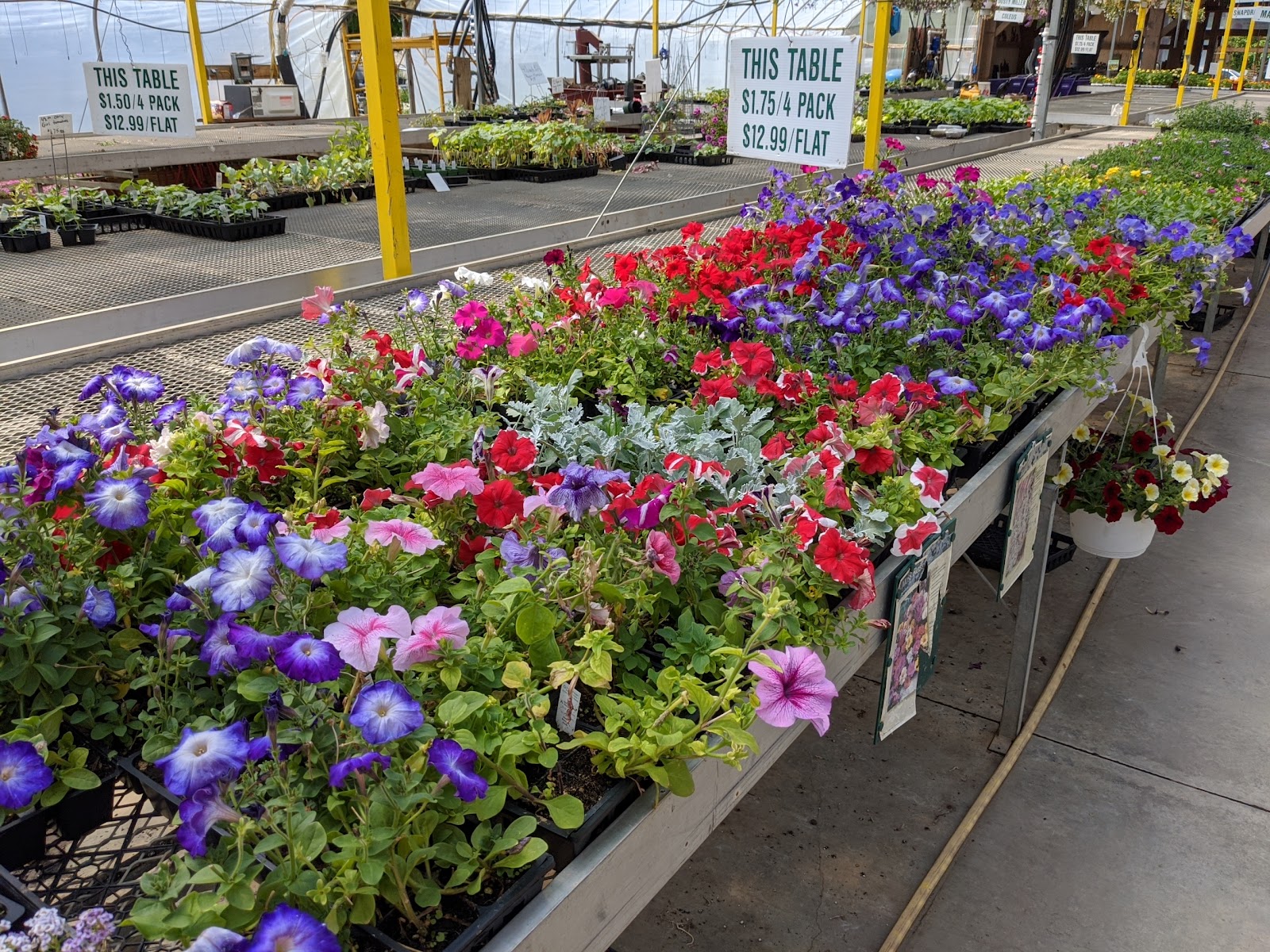 Troyer's Greenhouse