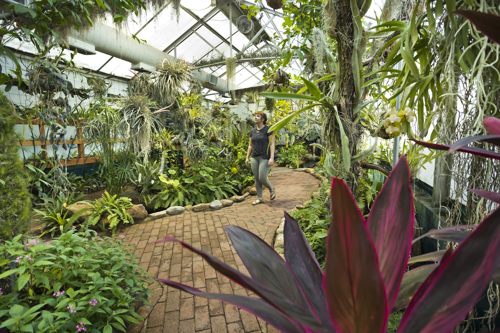 Tucson Botanical Gardens