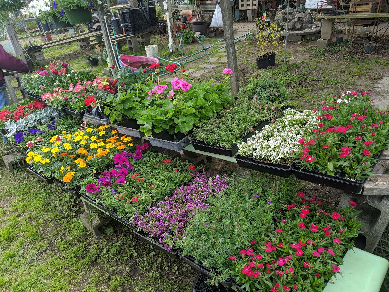 Tujays Greenhouse