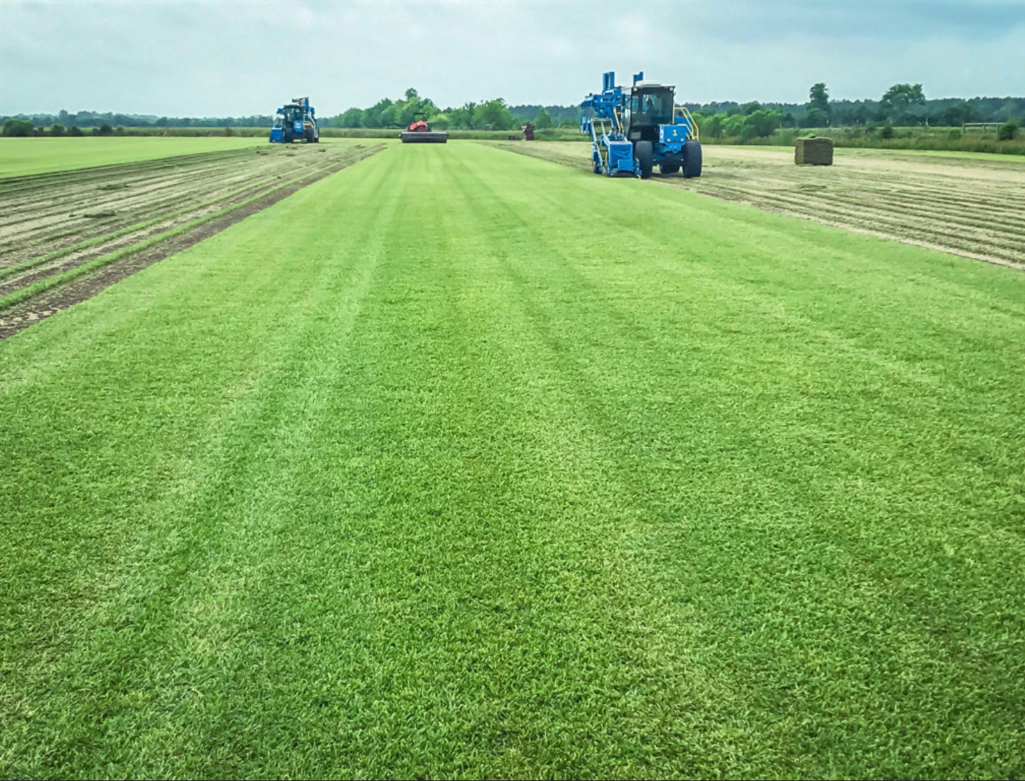 Turf Masters Sod Farms