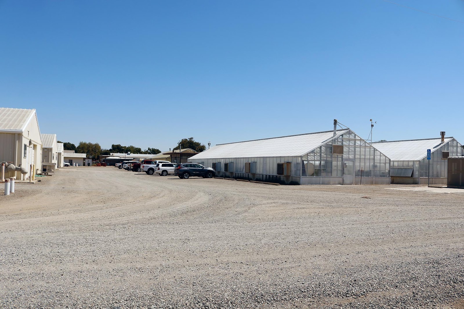 UC Davis Vegetable Crops Greenhouses