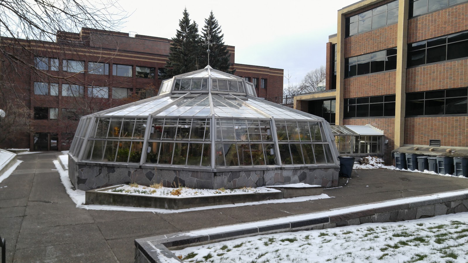 UMD Lower Greenhouse