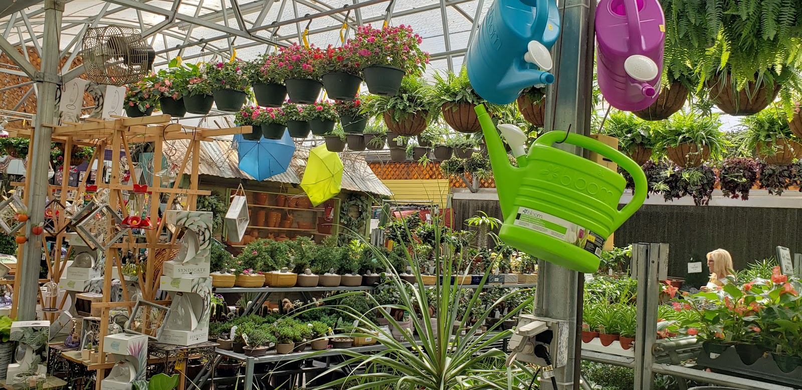 Under the Sun Garden Center