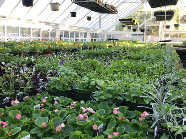 Underwood Greenhouses