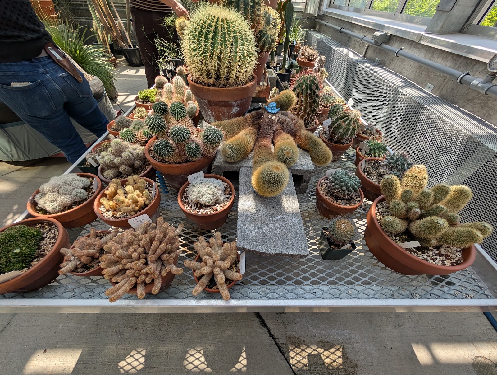 University of Washington - Department of Biology Greenhouse