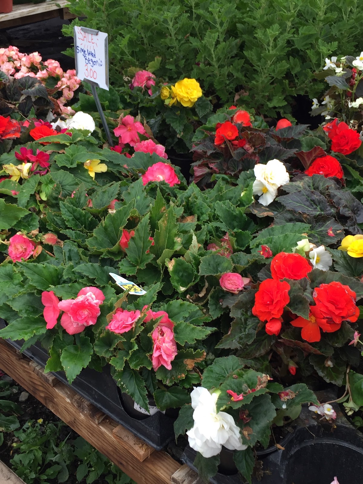 Valley View Greenhouse & Produce farm