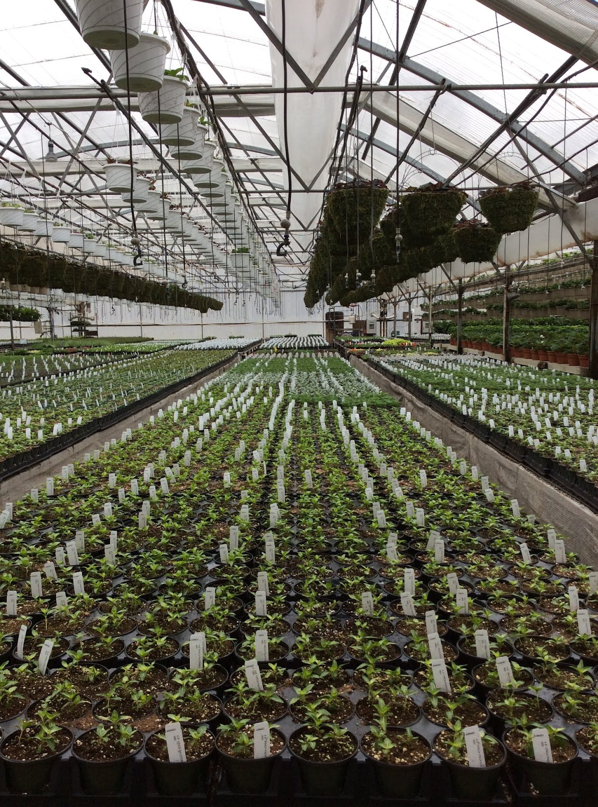 Valley View Wholesale Greenhouses