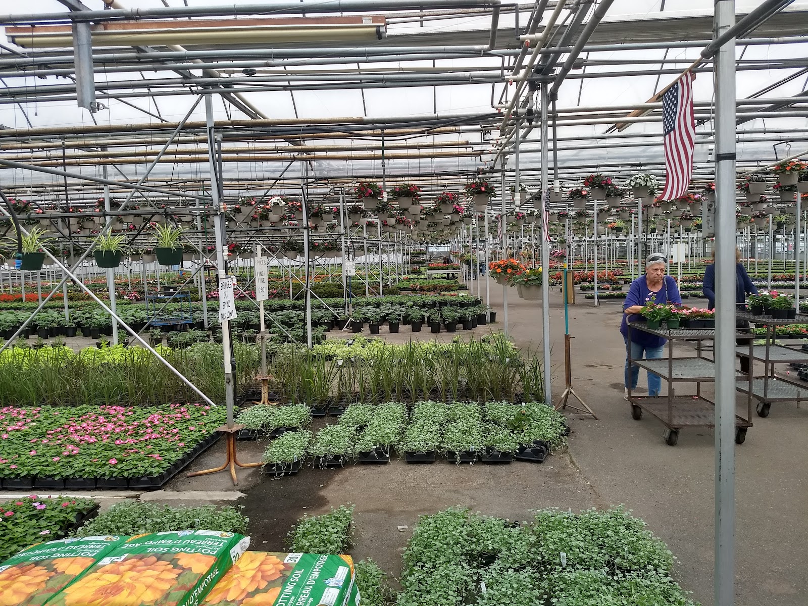 Van Wingerden Farms and Greenhouse