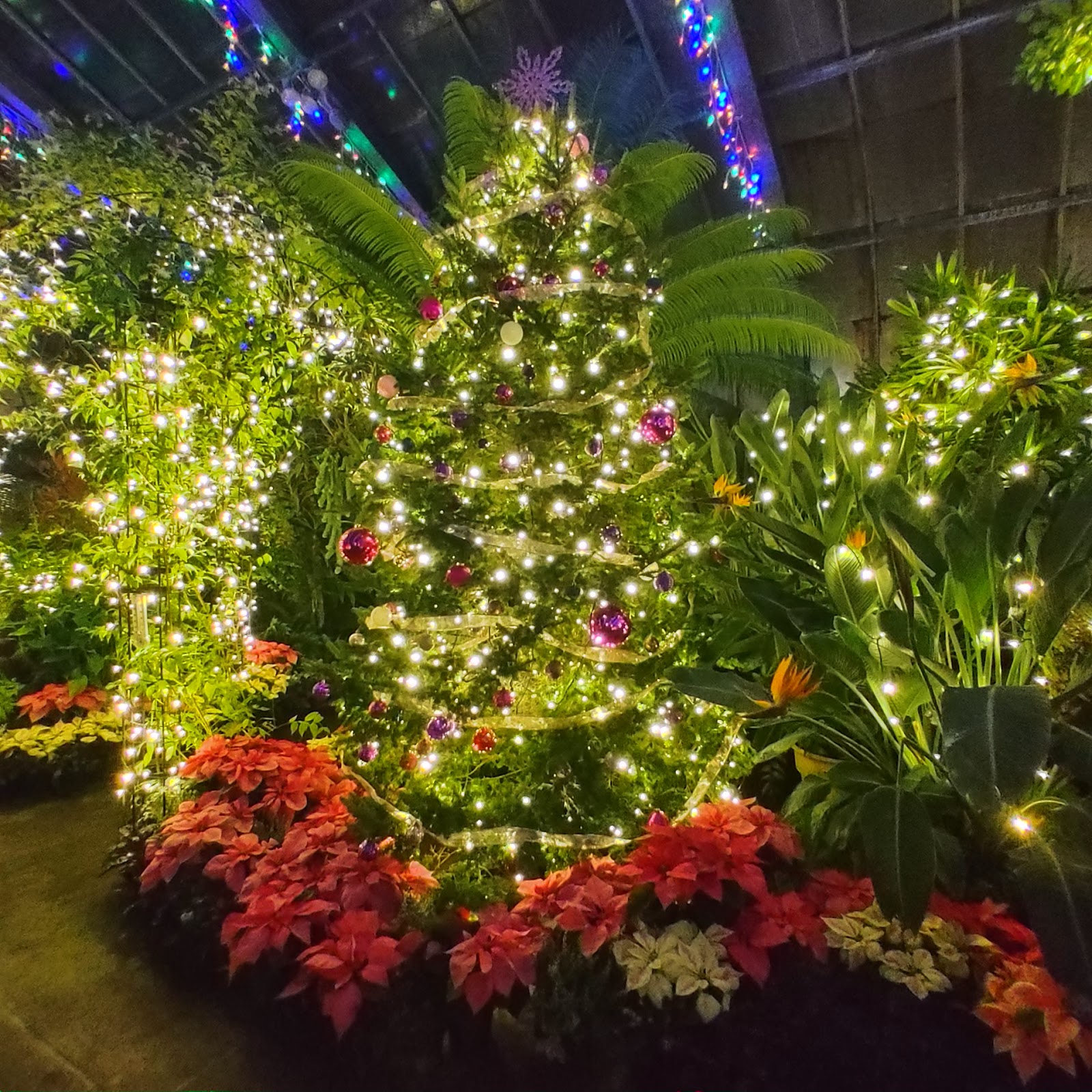 Vander Veer Conservatory