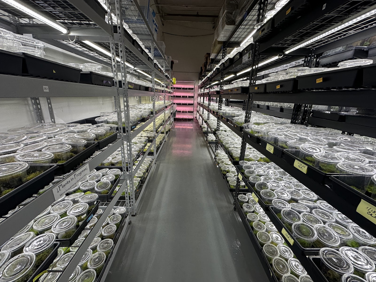 Verdant Vivariums