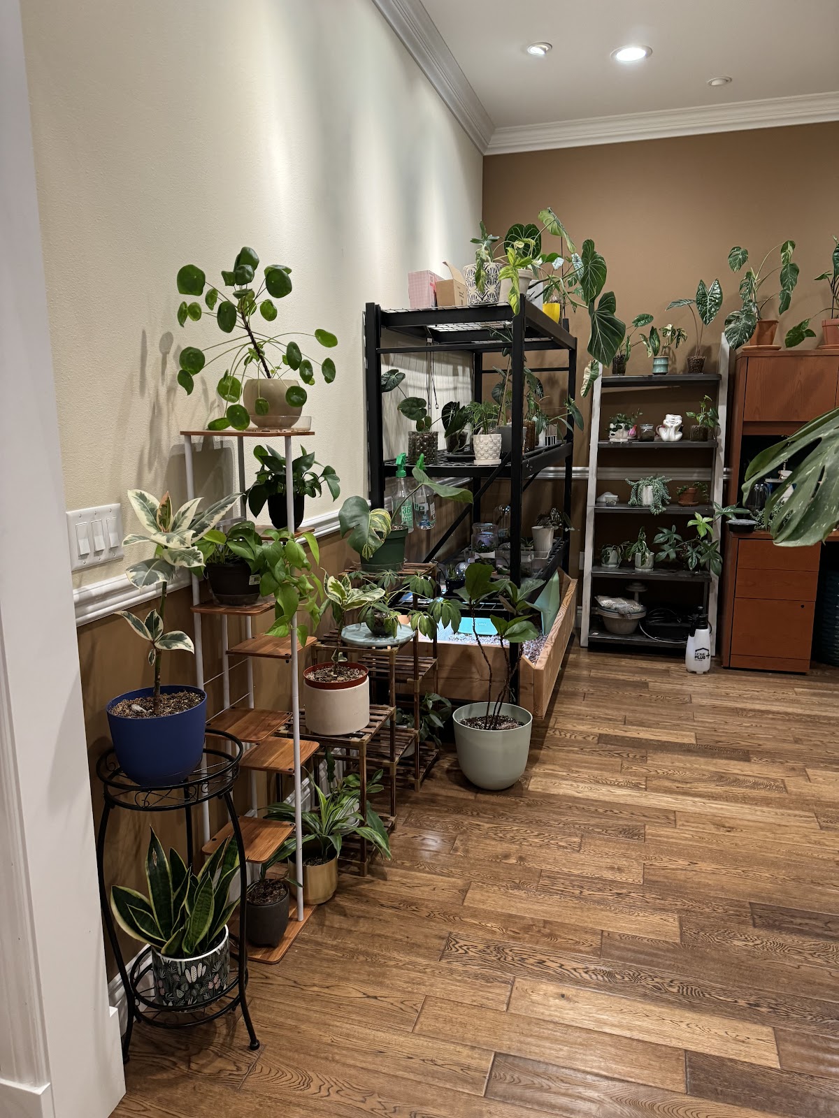 Verdant Yakima