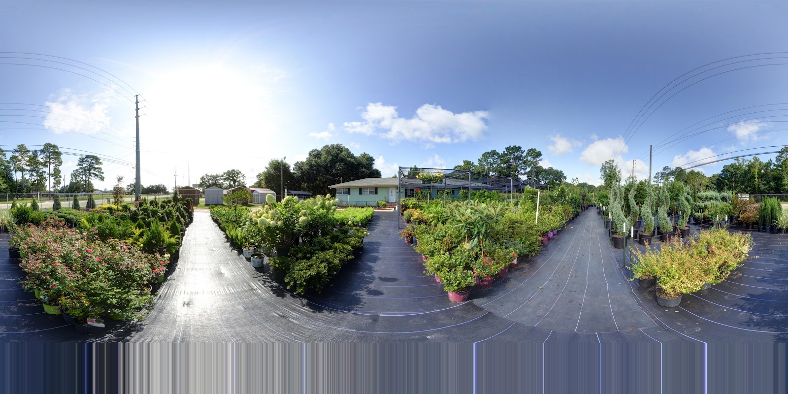 VH Market & Nursery