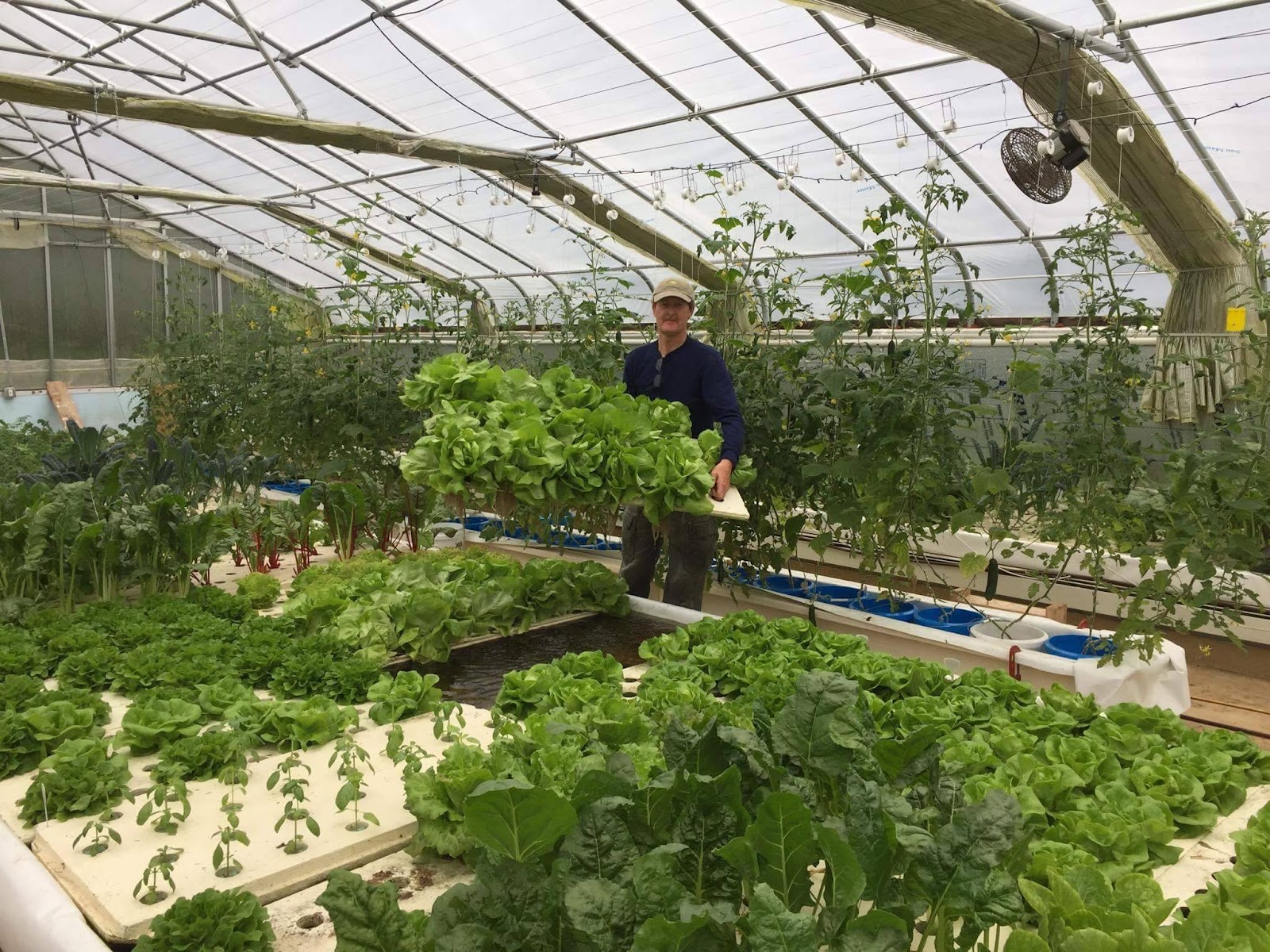 Victory Aquaponics LLC
