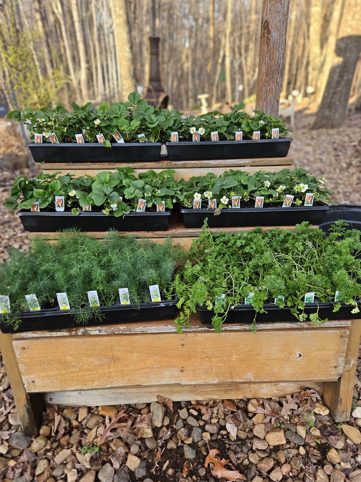 Village Garden Greenhouses & Florist