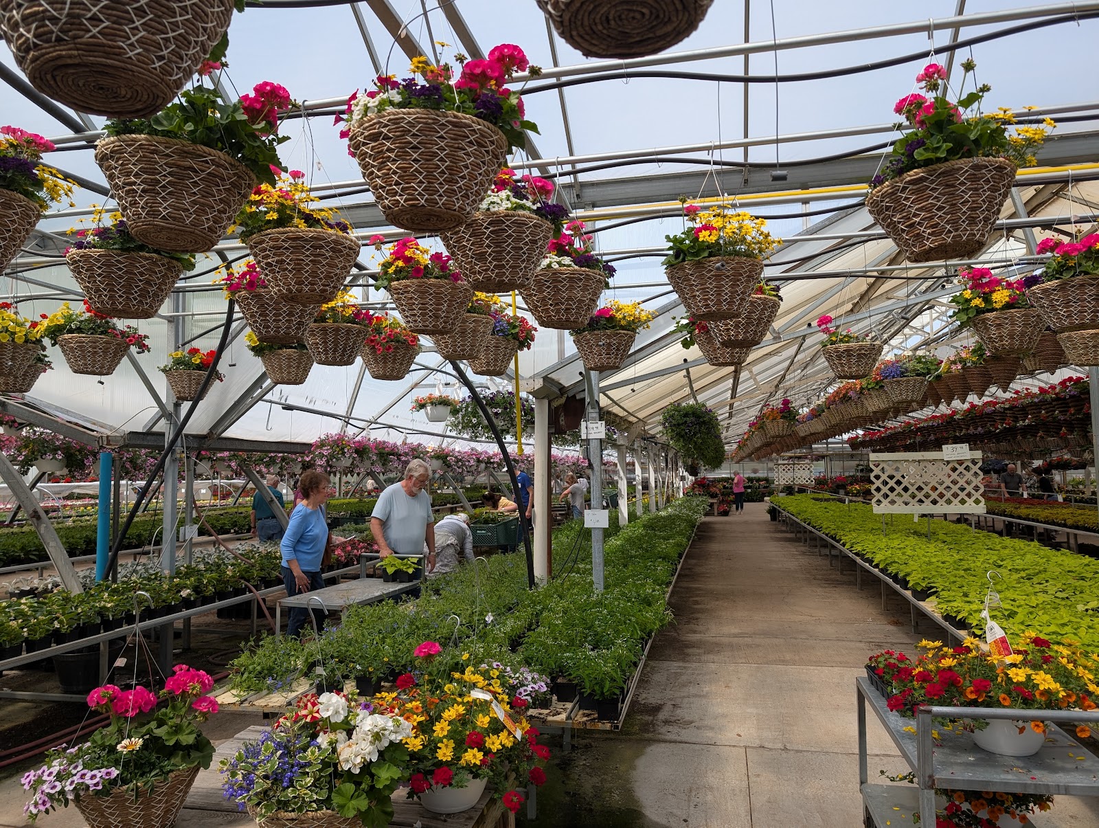Vilt's Greenhouse
