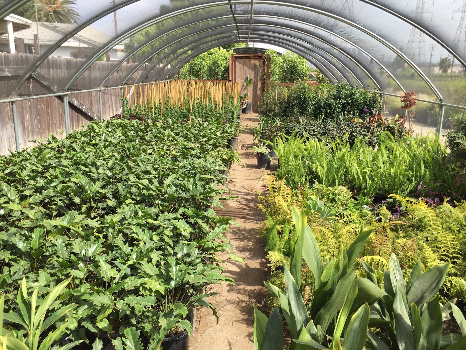 Vineland Nursery