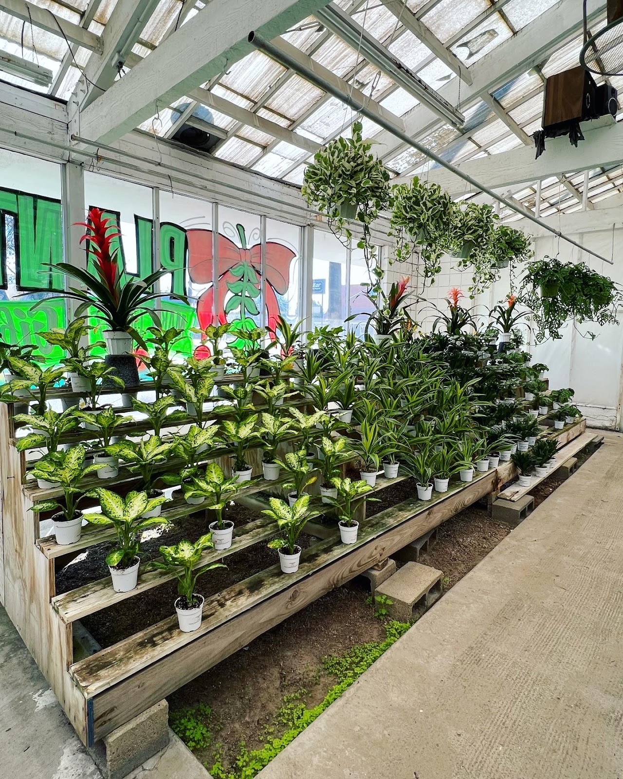 Visser's Florist & Greenhouses