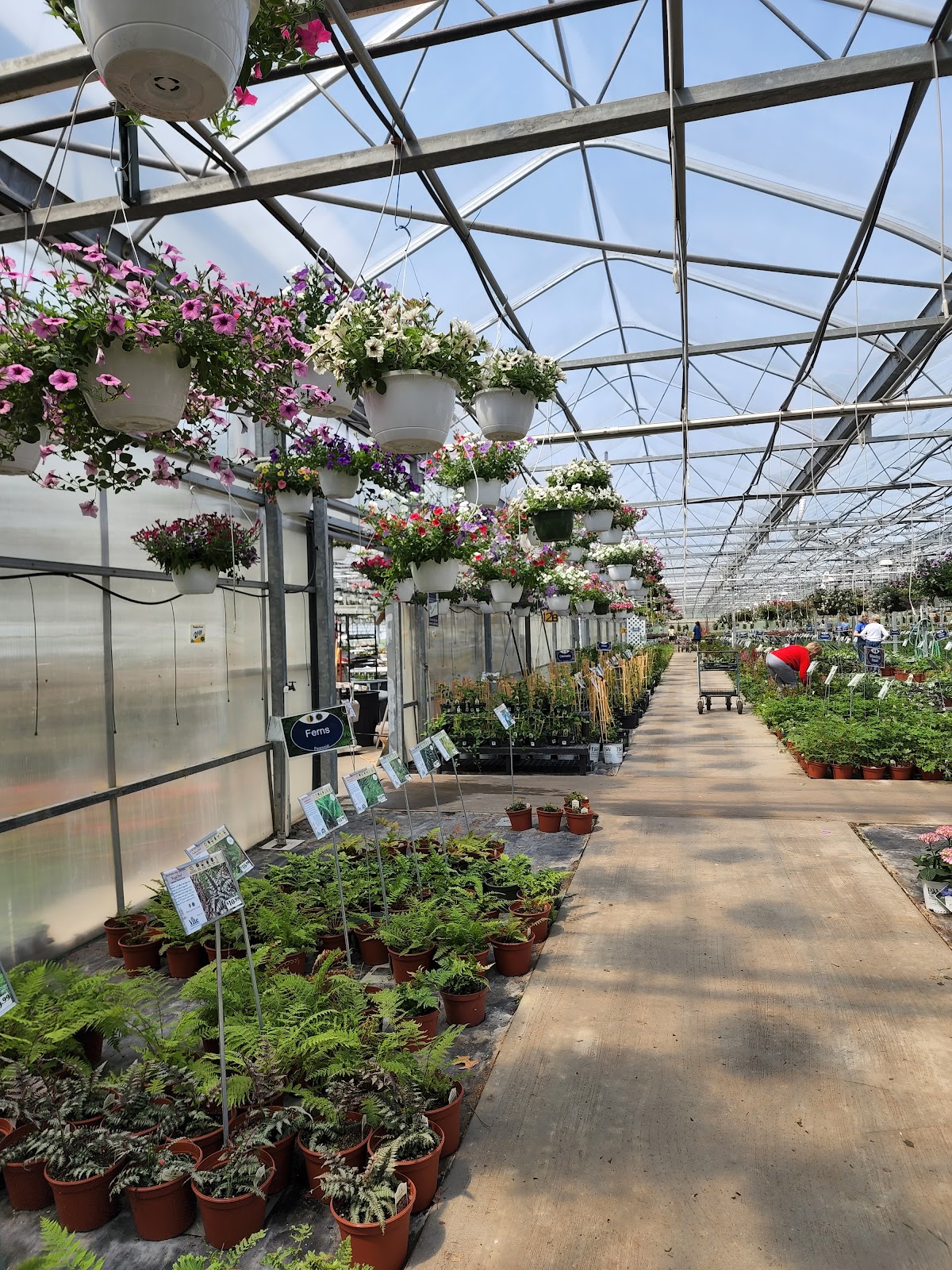 Vite Greenhouses