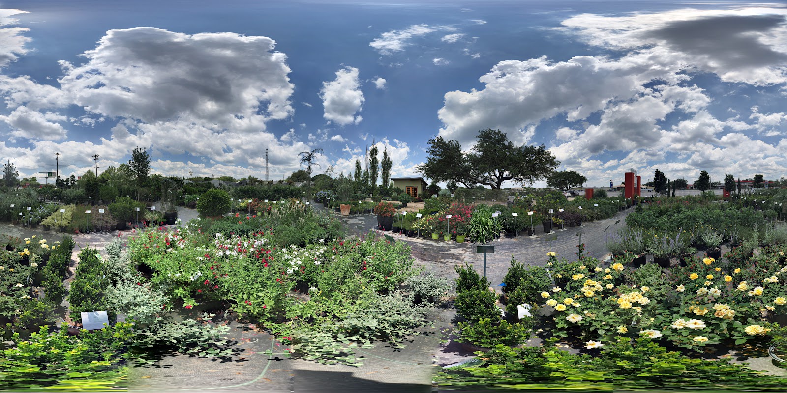 Vivero Growers Nursery