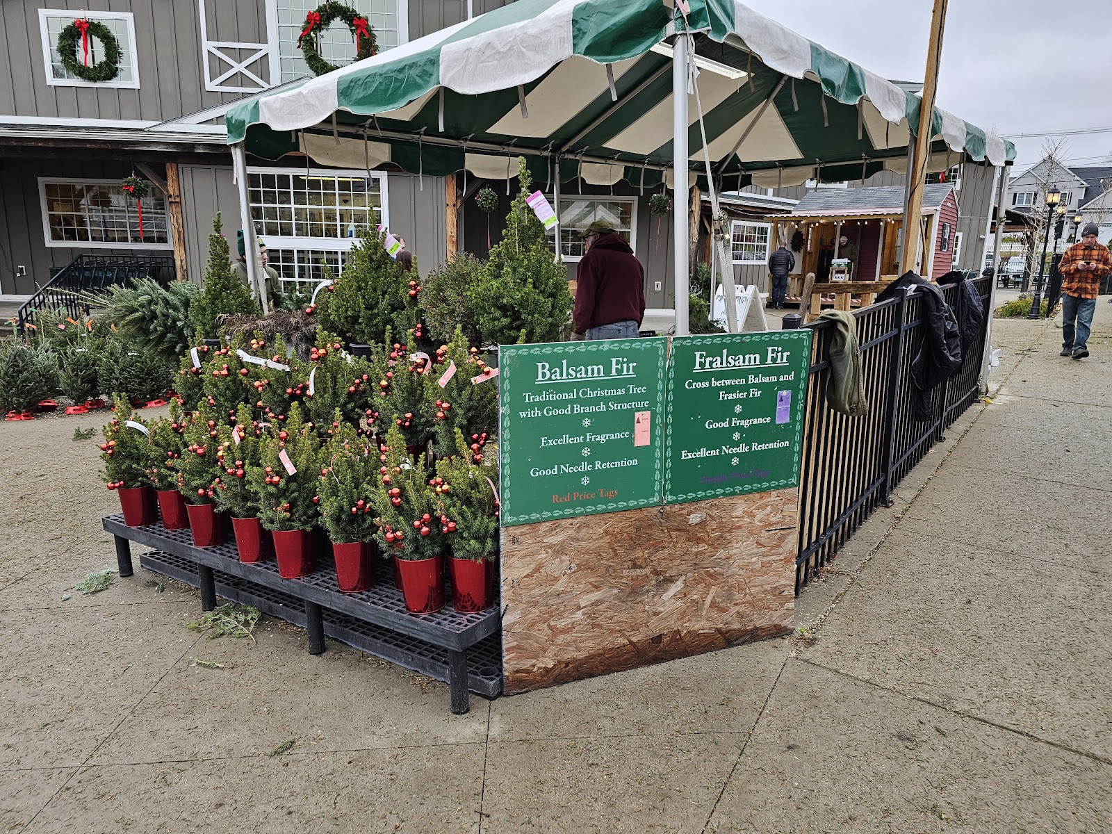 Volante Farms Greenhouse