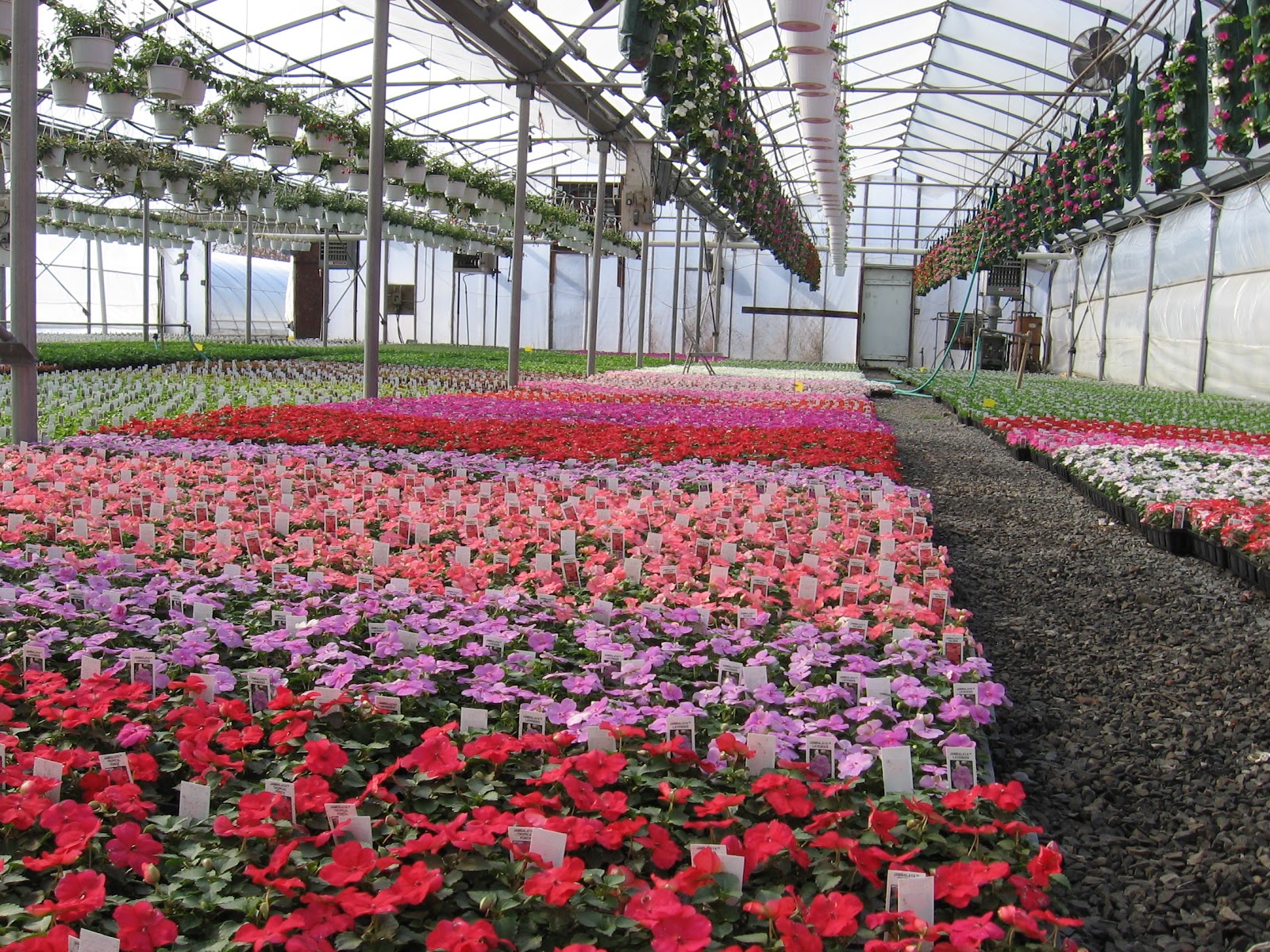 Vollmer Farms