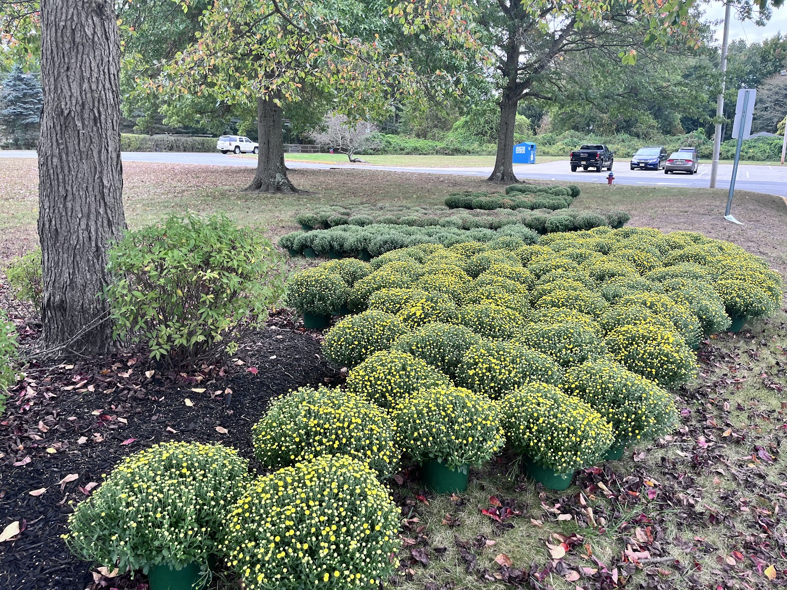 Voorhees Greenhouse LLC