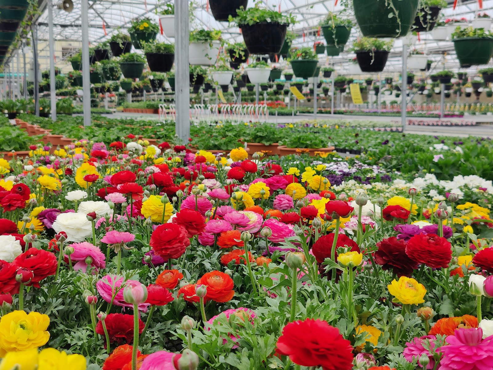 W.W. Greenhouses, Inc.