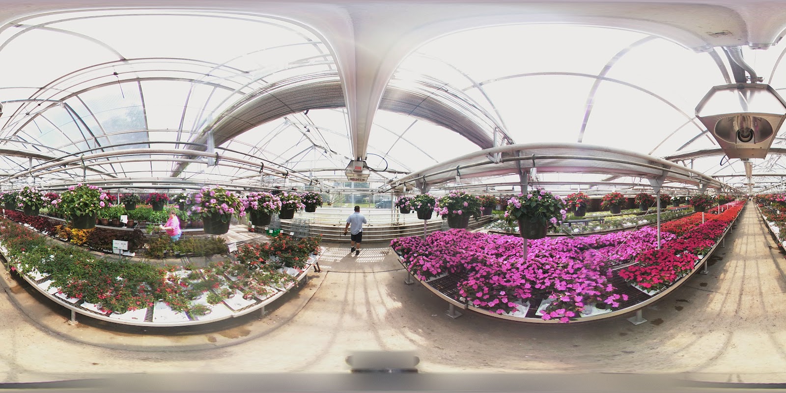 Wagners Garden Center Minneapolis