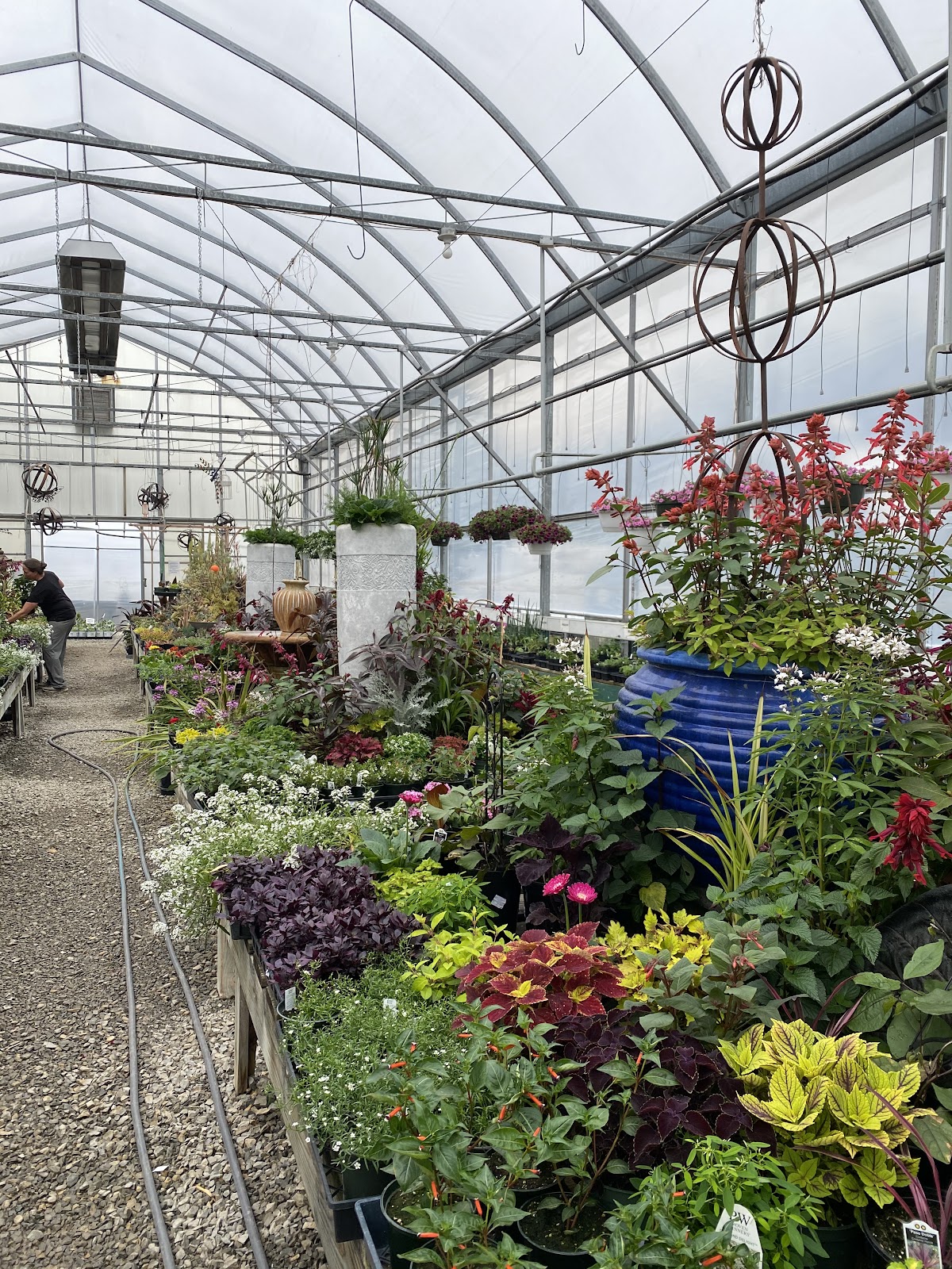 Walter's Greenhouse