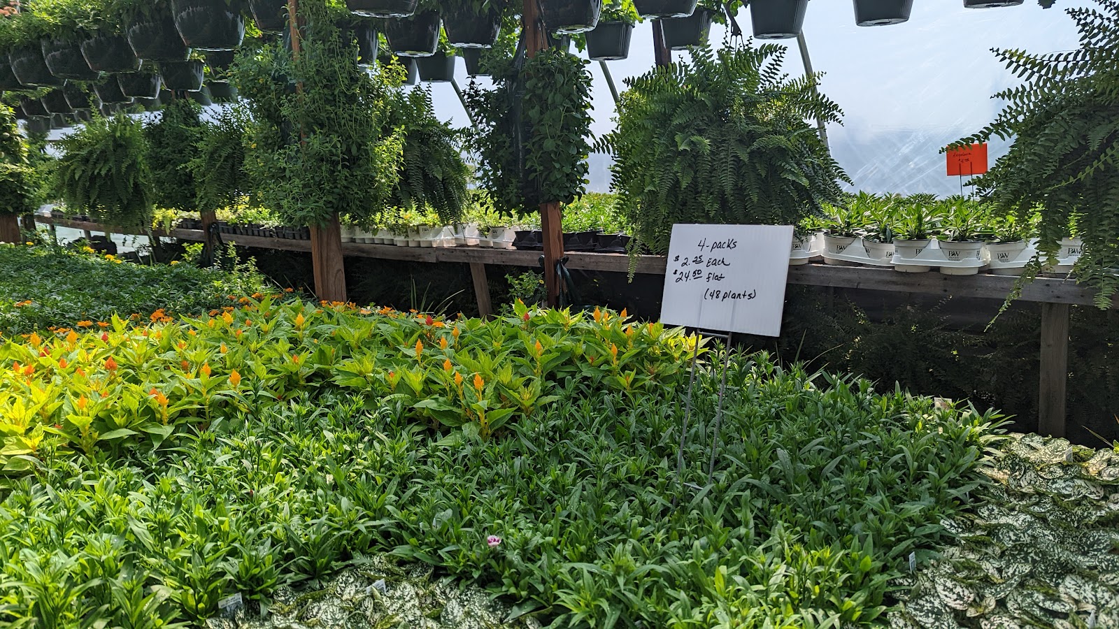 Warren Farm Greenhouse