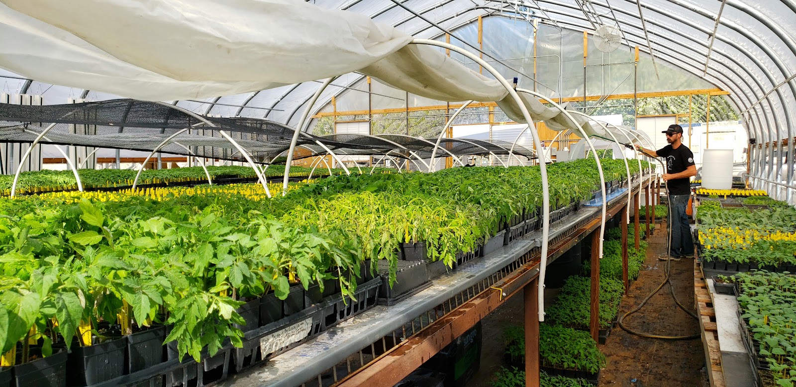 Wasatch Community Gardens