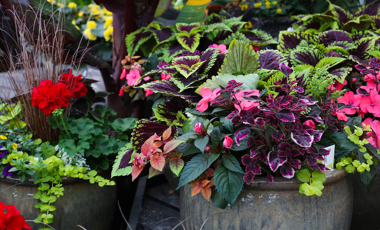 Watson's Greenhouse and Nursery of Federal Way