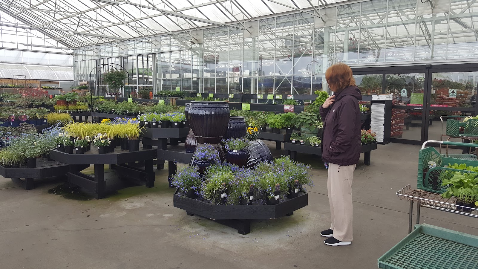 Watson's Greenhouse and Nursery