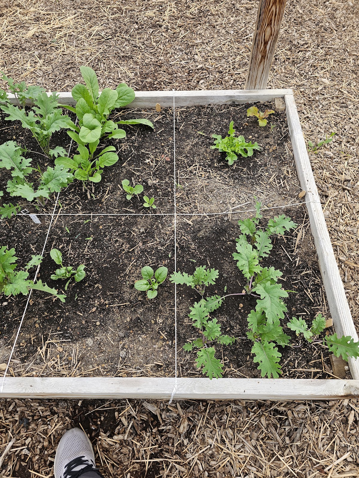 WCC Hoop House/Greenhouse