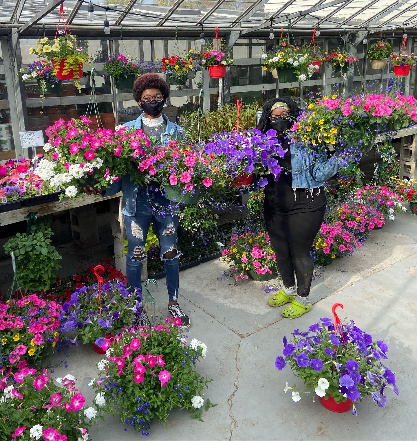 Webers Greenhouse