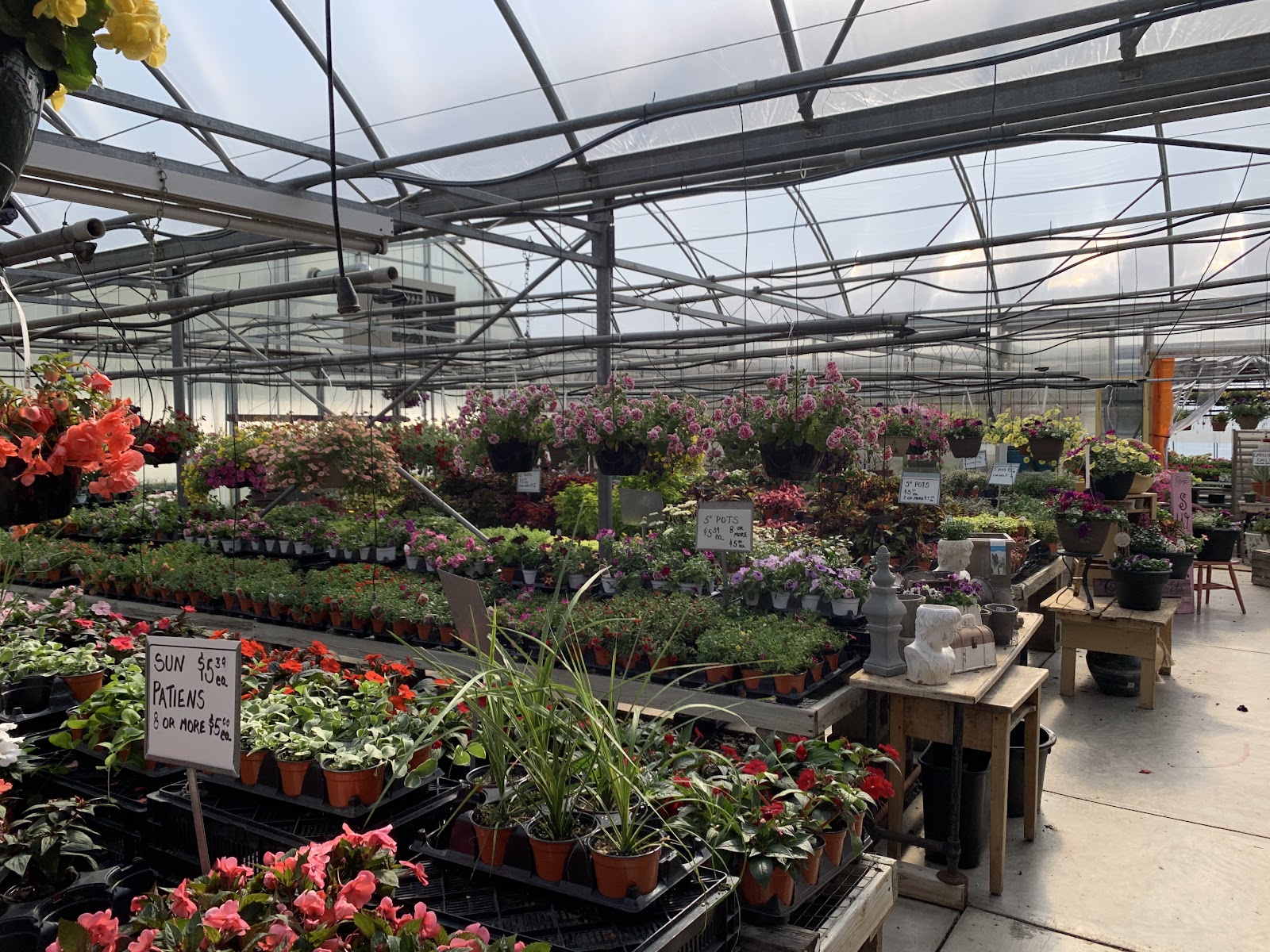 Welch's Greenhouses