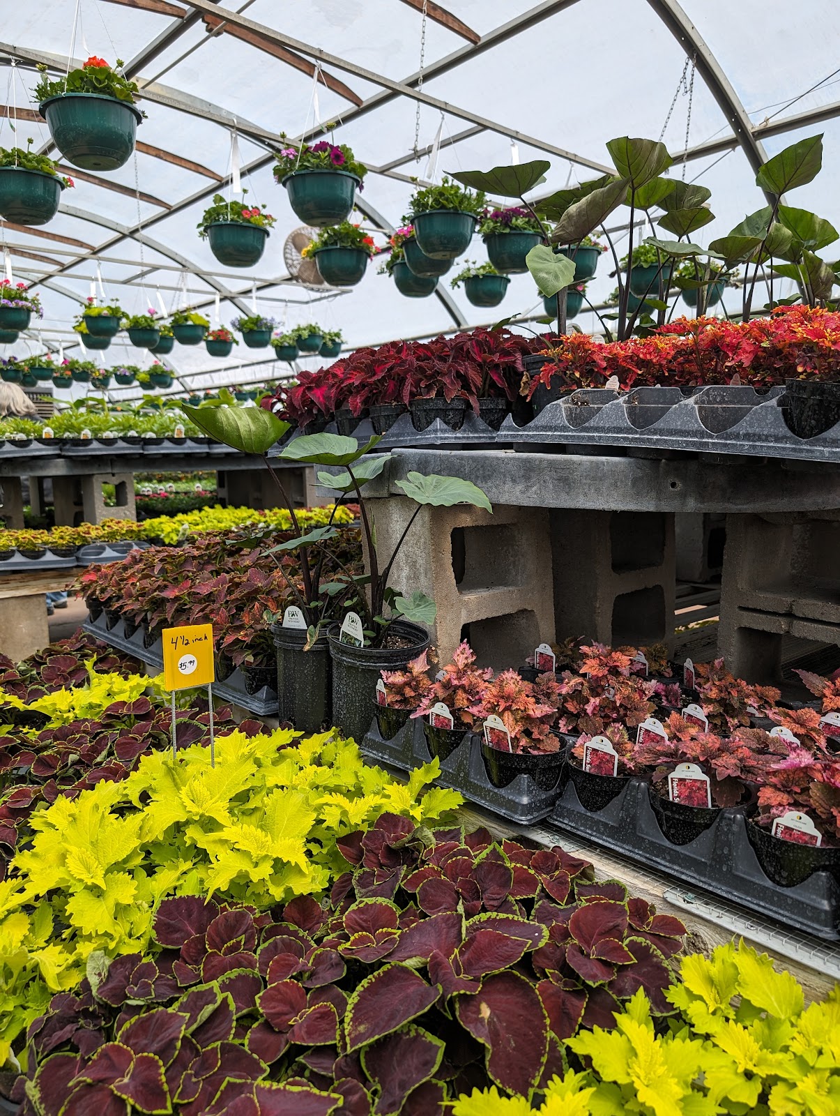 Wenninghoff's Garden Center