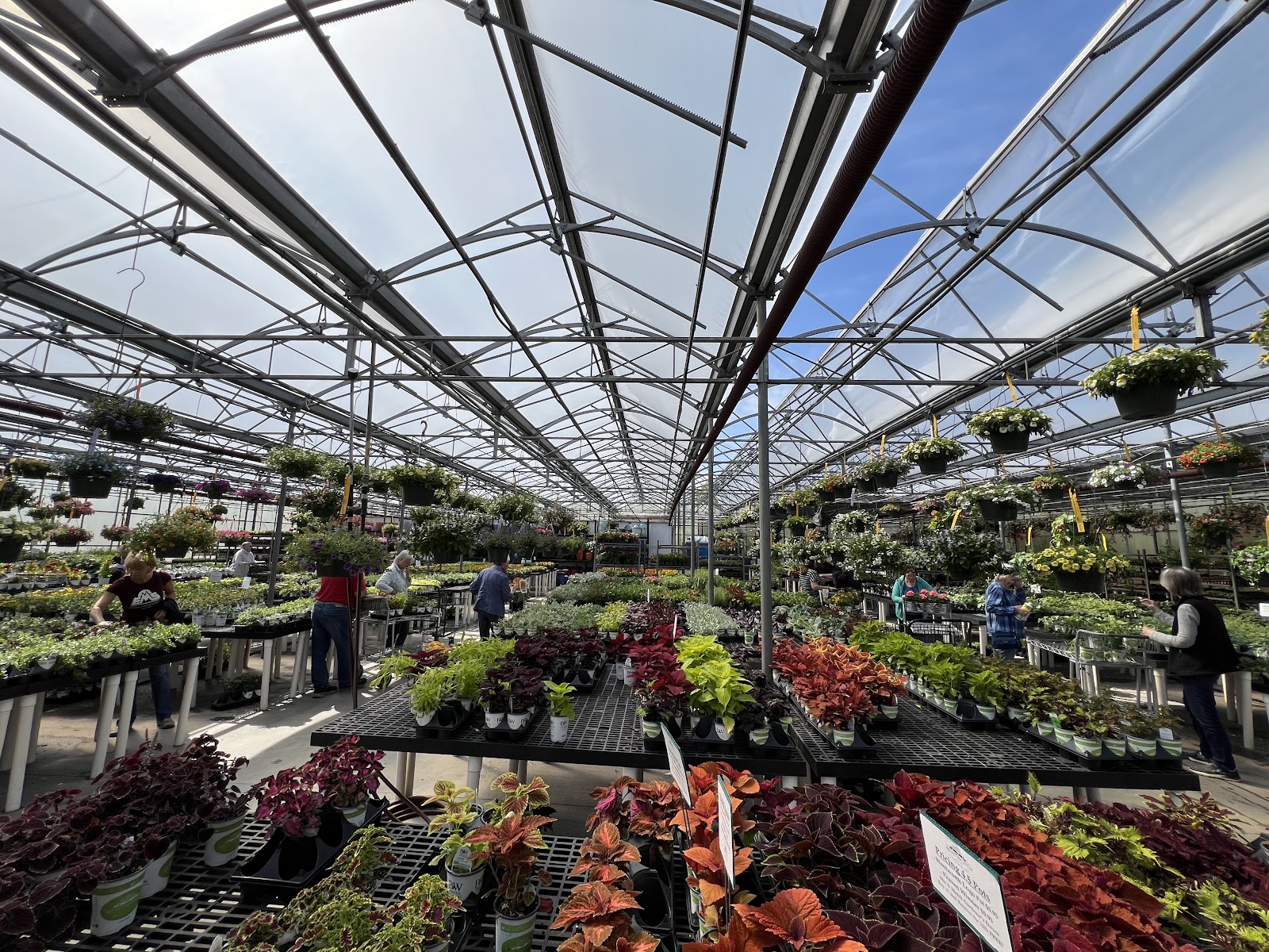 Wentworth Greenhouses