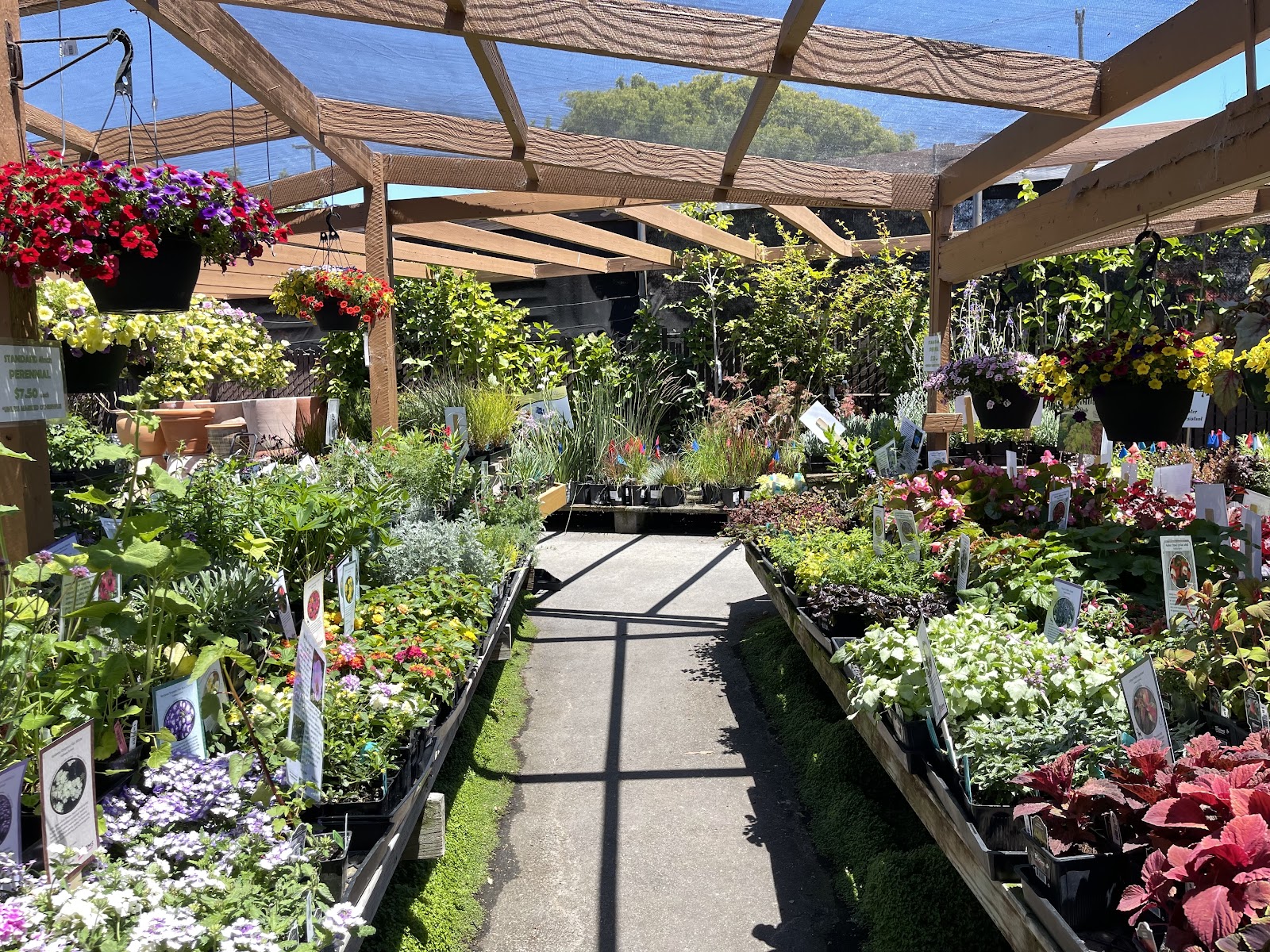 Westbrae Nursery