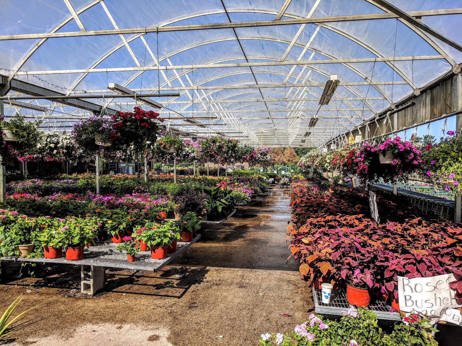 Westchester Greenhouses & Farm