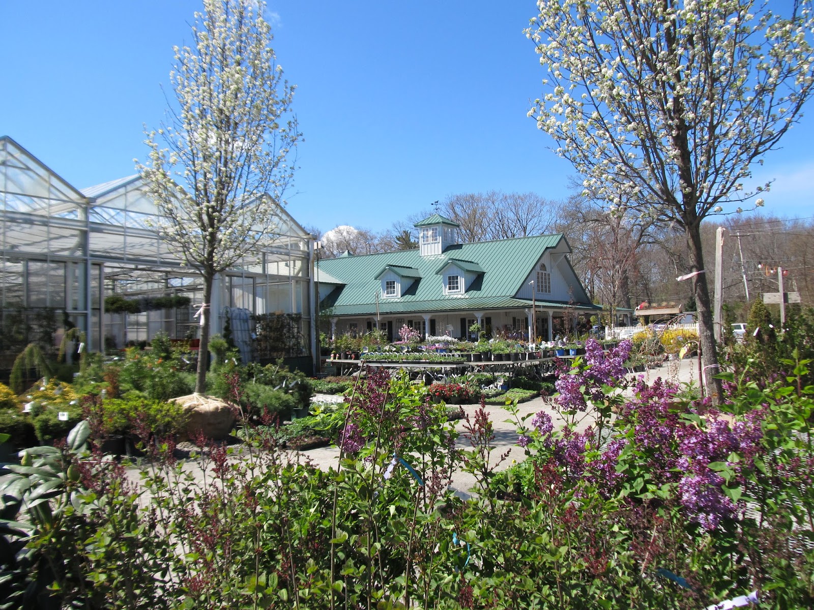 Weston Nurseries of Chelmsford