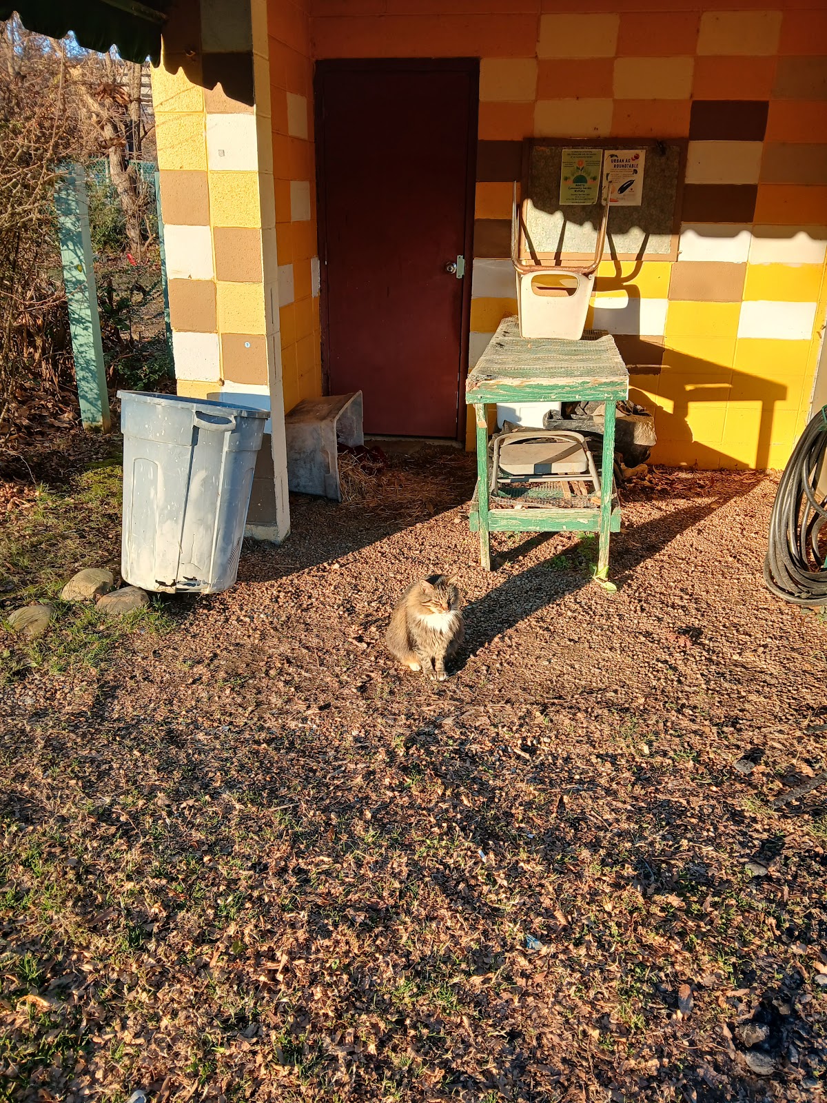 Westside Community Garden and Greenhouse