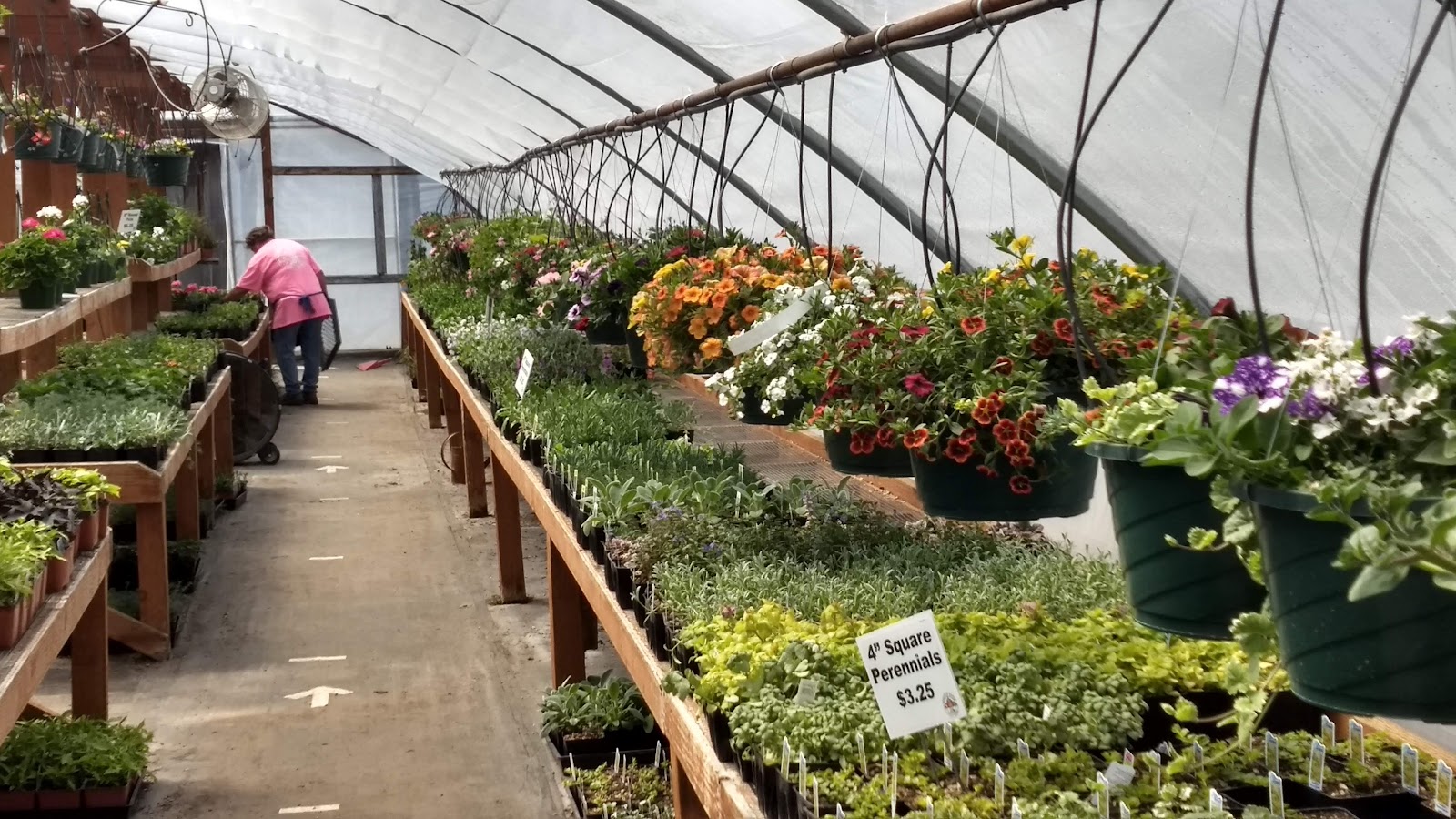 Whistle Stop Farm & Flowers