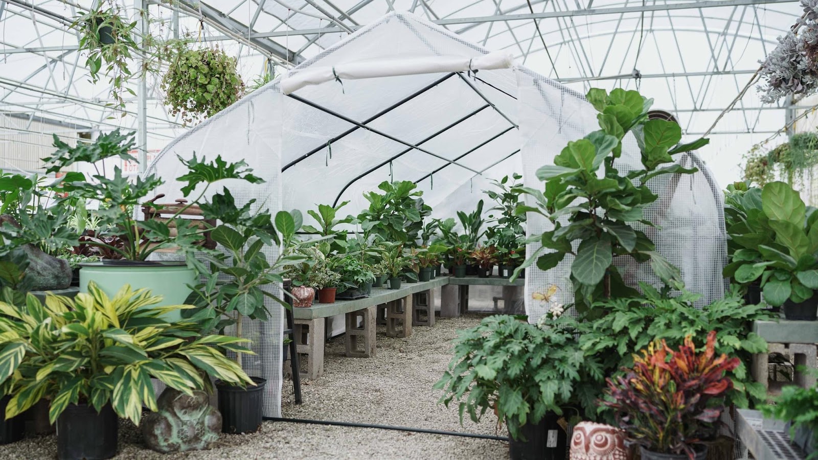 White River Nursery