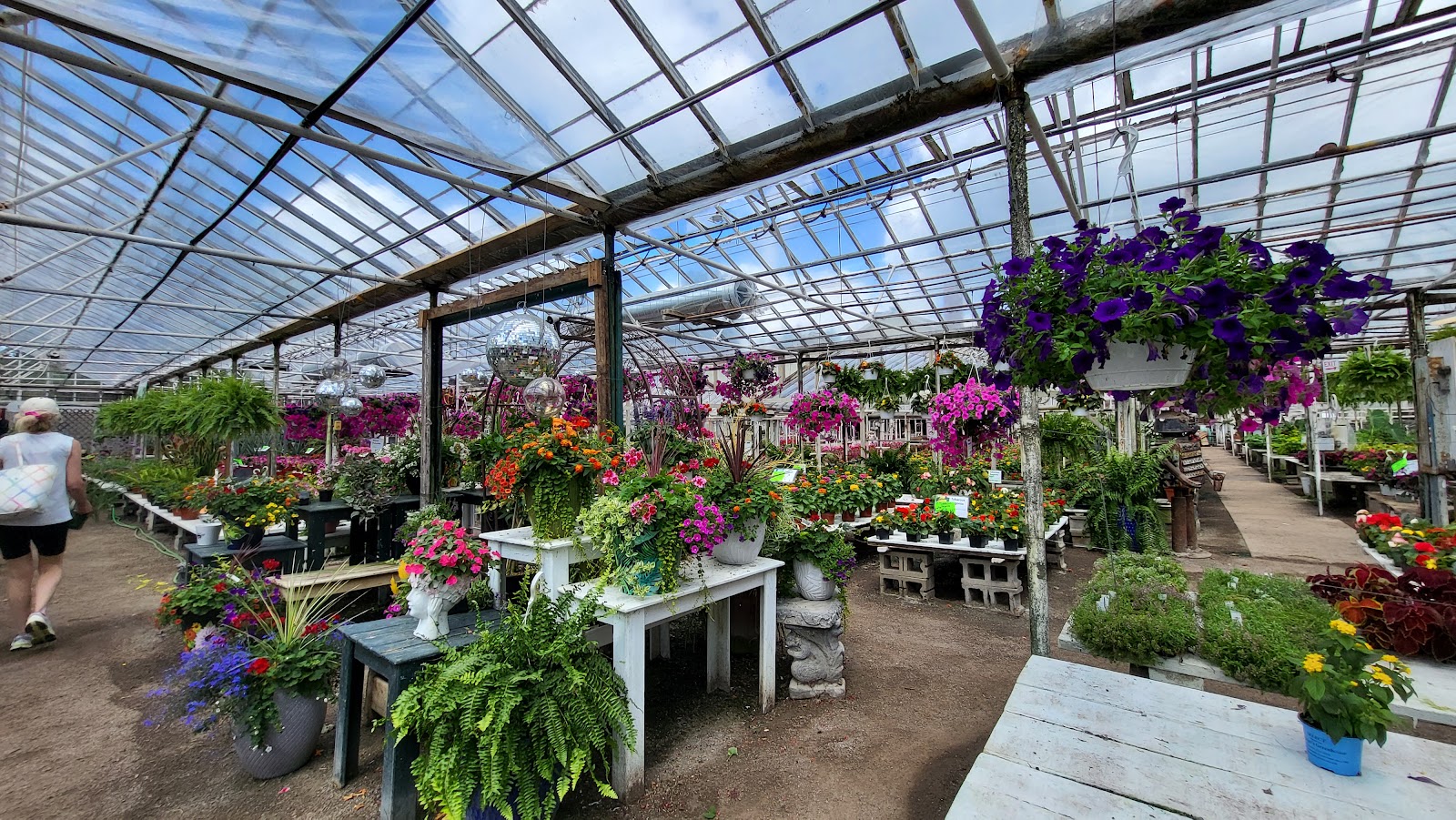 Whiteford Greenhouse