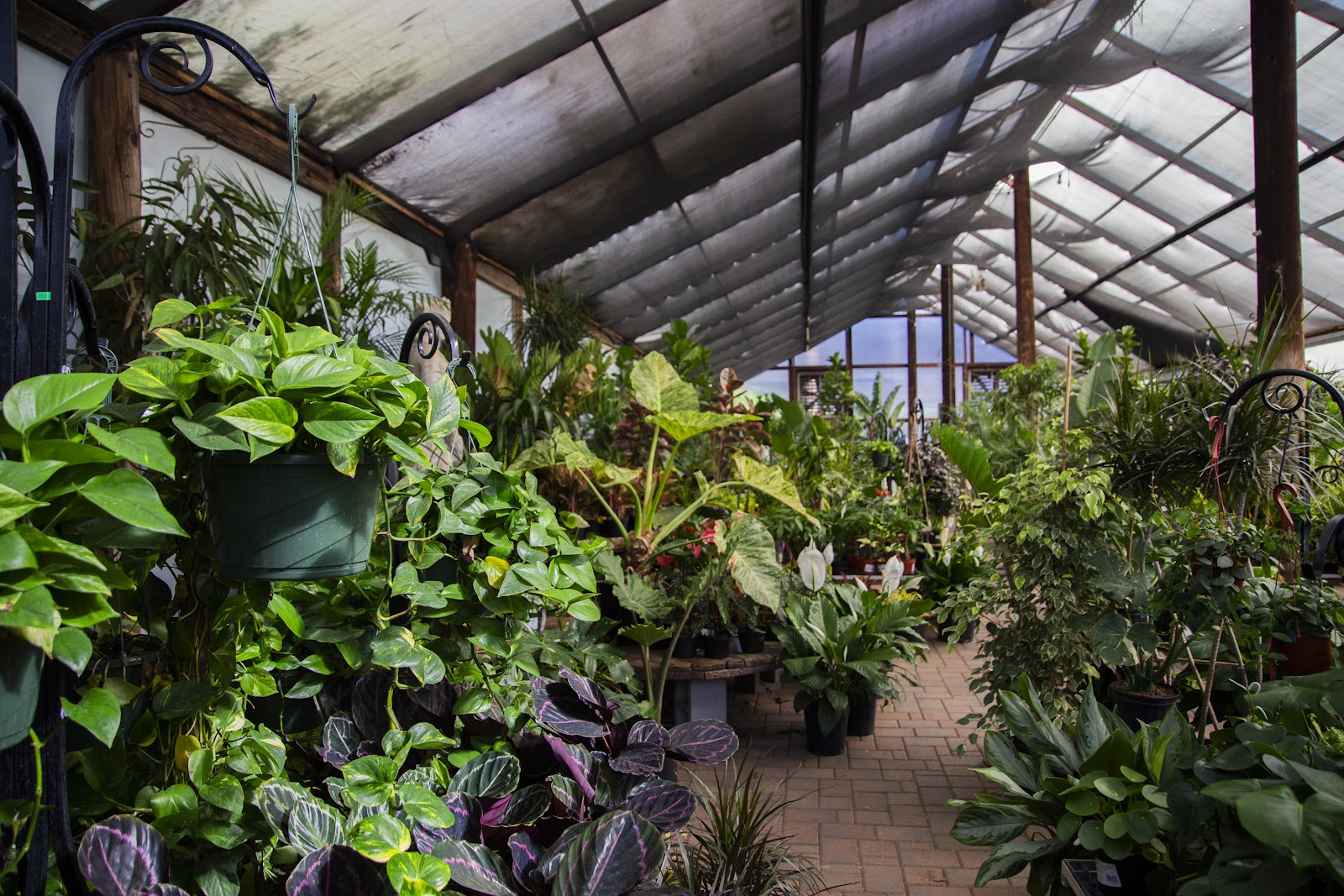 Whitfill Nursery
