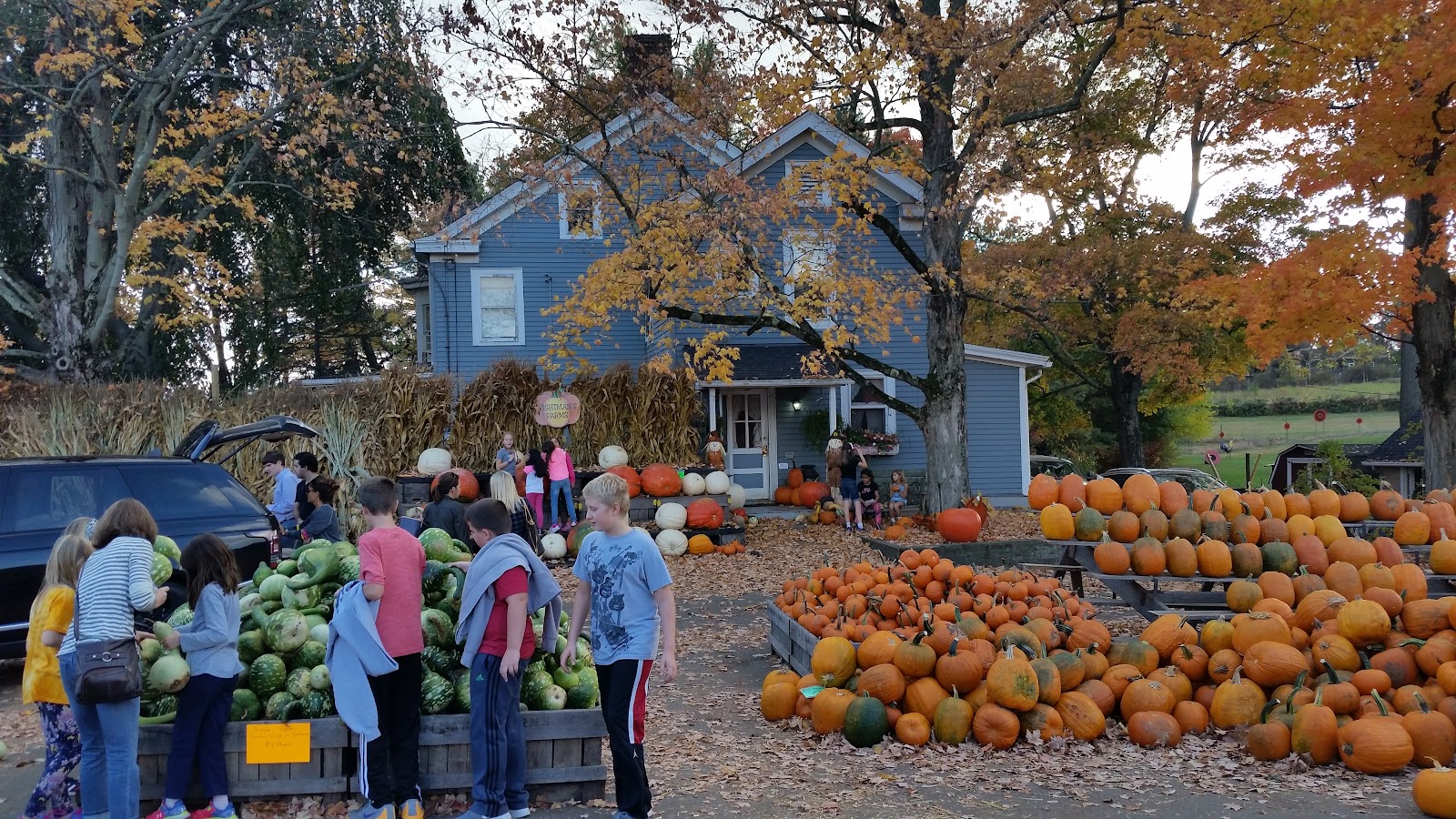 Whitman Farms
