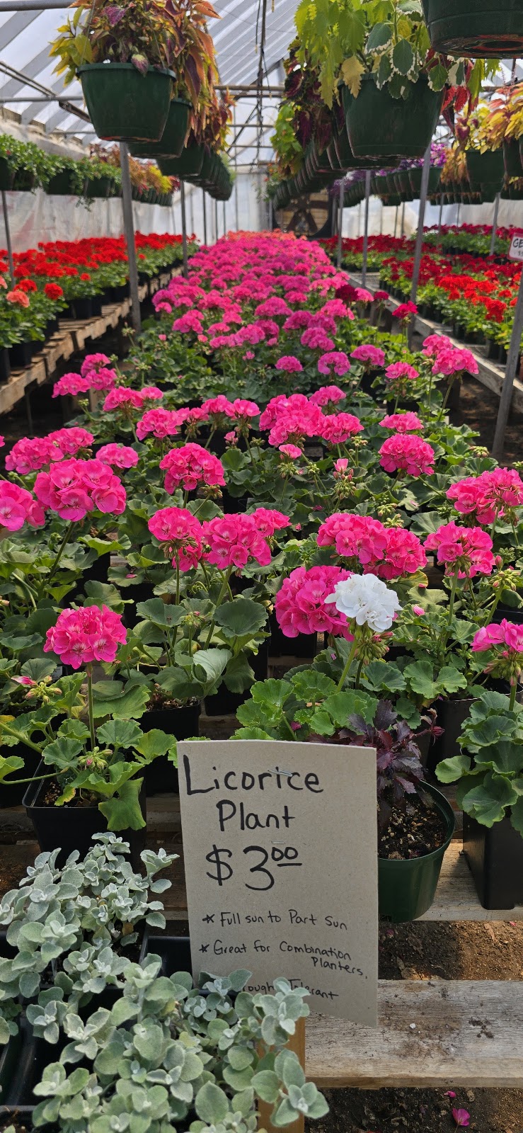 Wichita Greenhouse
