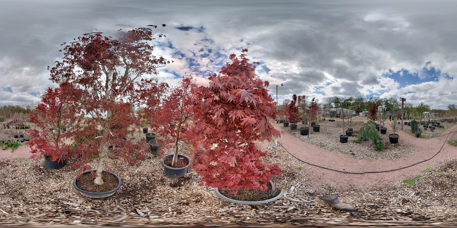 Wickman's Garden Village